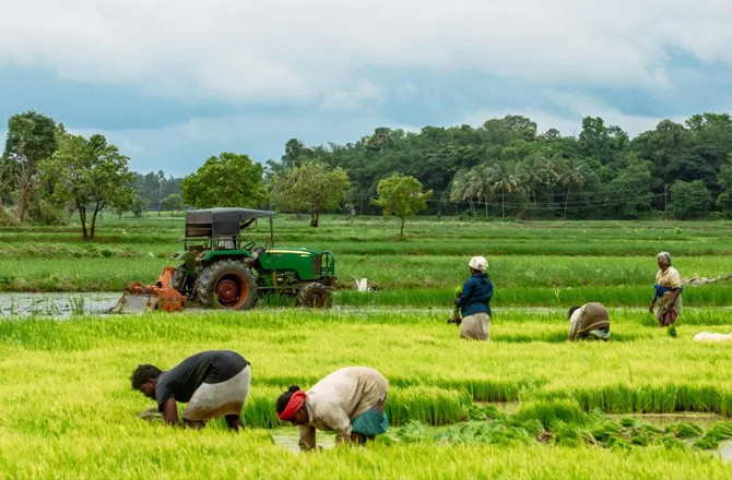 ڈجیٹل ایگریکلچر مشن ۲؍: فرنٹیئر ٹیکنالوجی سے کاشتکاری بدلے گی 
